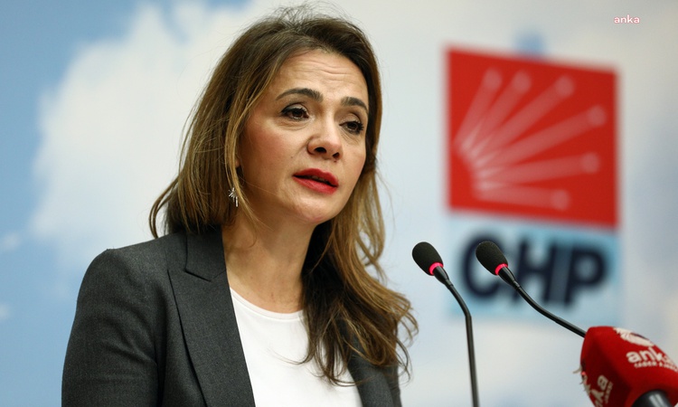 CHP'li İlgezdi, doğal gazı kesilen haneler için koruyucu mekanizma istedi | İşte Tüm Ayrıntılar
