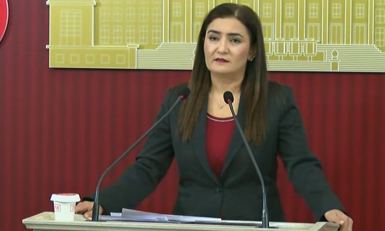 CHP'li Sevda Erdan Kılıç, Mekke savunma anlaşmasındaki belirsizliklere dikkat çekti