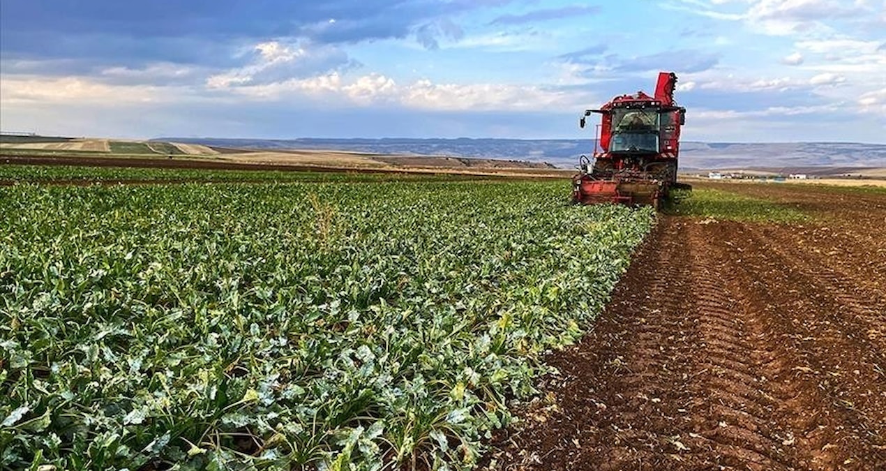 Gündemden Son Bilgiler: Çiftçi Kayıt Sistemi'ne kayıtlarda son 3 gün - Son Dakika: Gelişmeler Takip Ediliyor