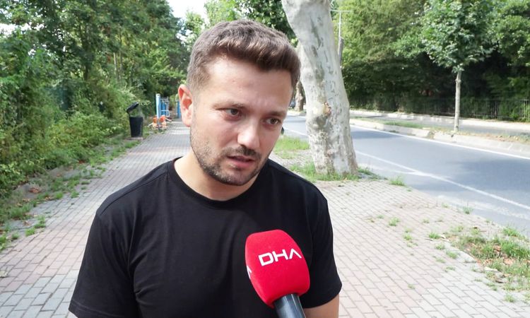 Ayrıntılar Netleşti: Çınar Kanseri Tehdidi: Beşiktaş'taki Tarihi Ağaçlar İçin Budama ve Uyarılar - Son Dakika