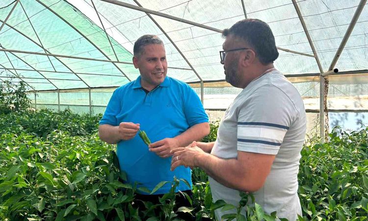 Abundant harvest of Geographically Indicated Emcelli pepper - Last Minute