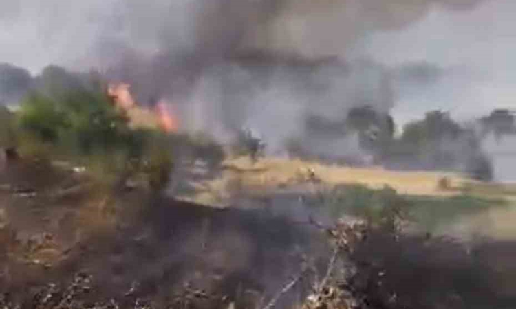 Çüngüş’te çıkan yangın üzüm bağlarına zarar verdi