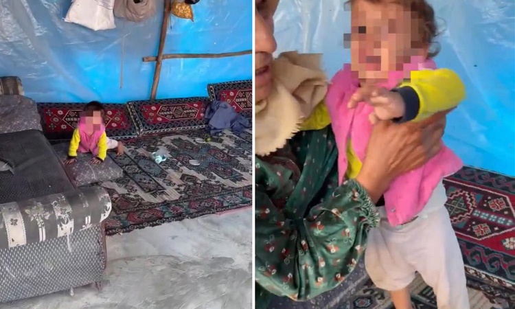 Dehşete düşüren görüntü! Videoyu izleyenler bakanlığı etiketliyor: Gelişmeler Takip Ediliyor