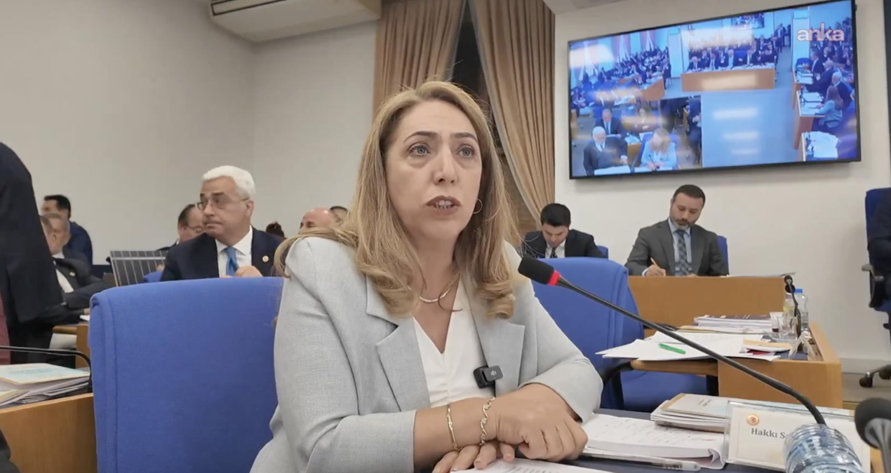 Kritik Açıklama: DEM Partili isim Meclis'teki görevinden istifa etti - Son Dakika - Son Dakika Bilgileri