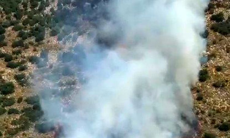 Forest fires in Demre were restrained - Breaking News