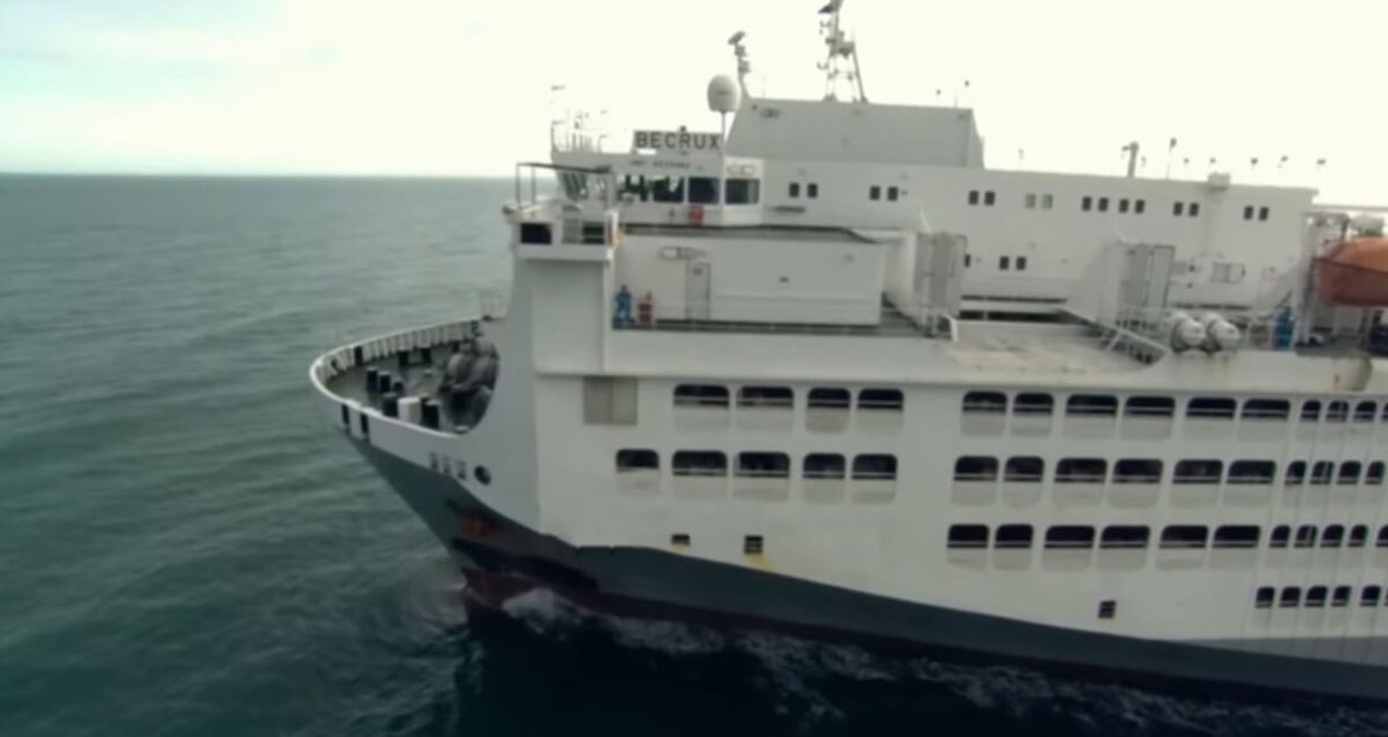 Ayrıntılar Netleşti: Deniz suyunu yutup tatlı suya çeviriyor: Günde 300 ton yem tüketiyor - En Son Haber ve Me