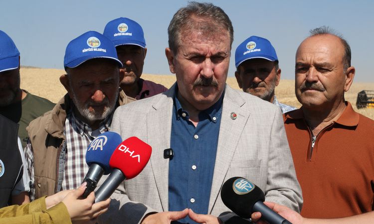 Destici: We expect the Friends Association to pay the heaviest price - Last Minute News