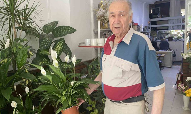 Gündemden Son Bilgiler: Direkt güneş ışığı çiçekler için zararlı - Son Dakika - Son Dakika Bilgileri