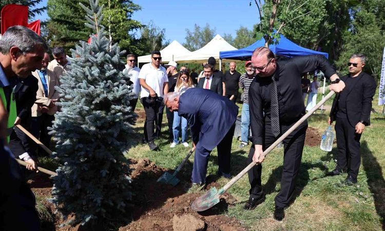 From Resistance to Resurrection: 10 Adult Trees Met the Soil in the 10th Year - News