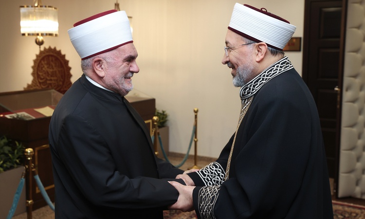 Diyanet Başkanı Arpaguş, Sırbistan İslam Birliği Meşihatı Başkanı Dudiç ile görüştü: Gelişmeler Takip Ediliyor