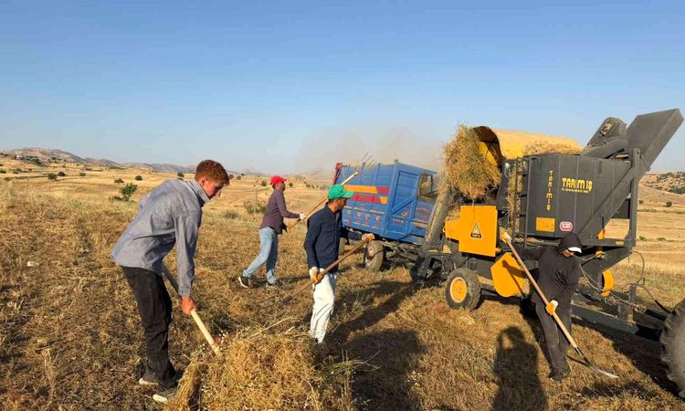 Lentil harvest in Diyarbakır - Breaking News