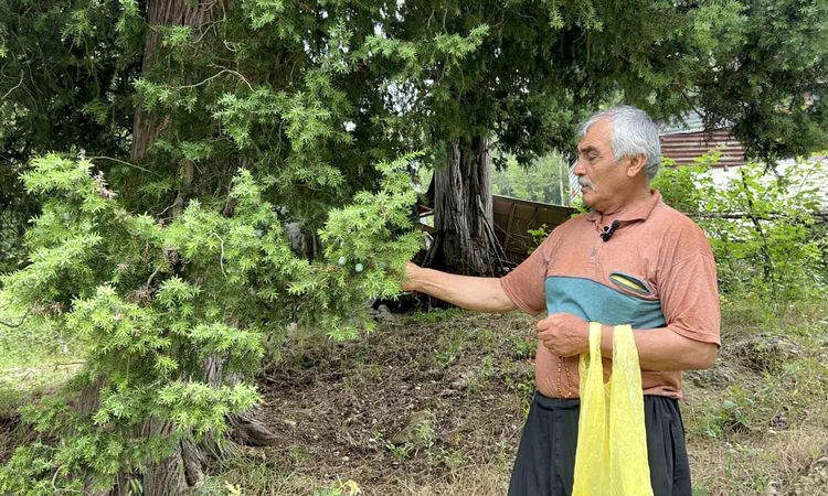 He turns the oath seeds he collects from nature into collectible prayer beads - Last Minute