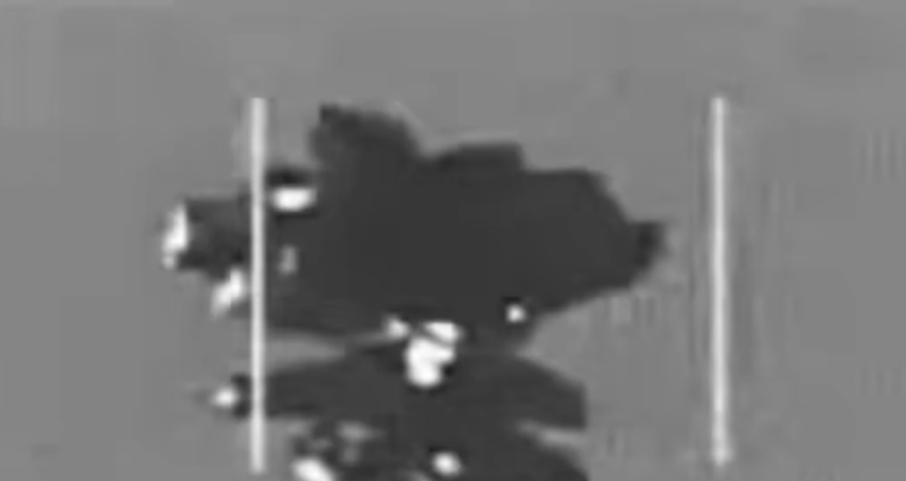 The world is talking about the secret images published by the USA: What is this object? - News
