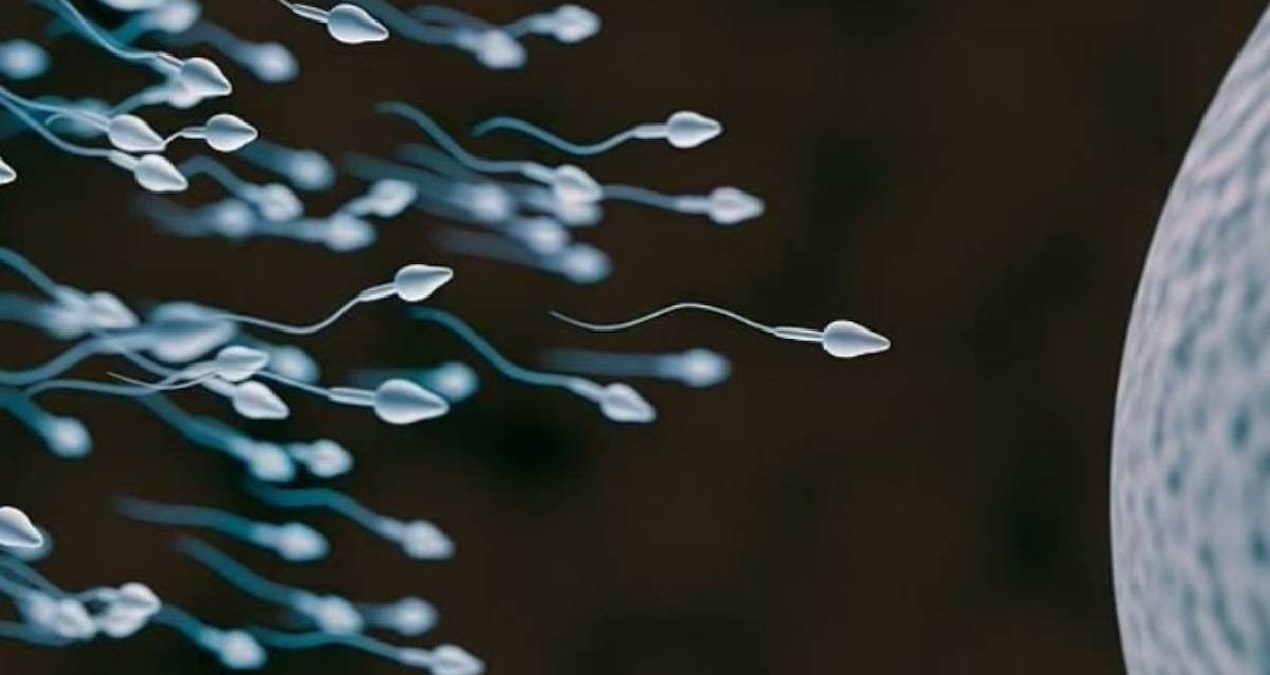 Gündemden Son Bilgiler: Dünyada ilk kez sperm yarışı yapılacak: Ödülü tam 4,5 milyon TL - En Son Haber - Son D