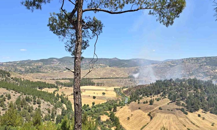 Forest flames in Dursunbey - Breaking News