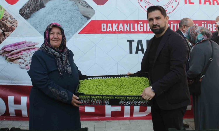 Düzce'de üreticilere 2 milyon 649 bin 540 TL'lik fide ve tohum desteği sağlandı
