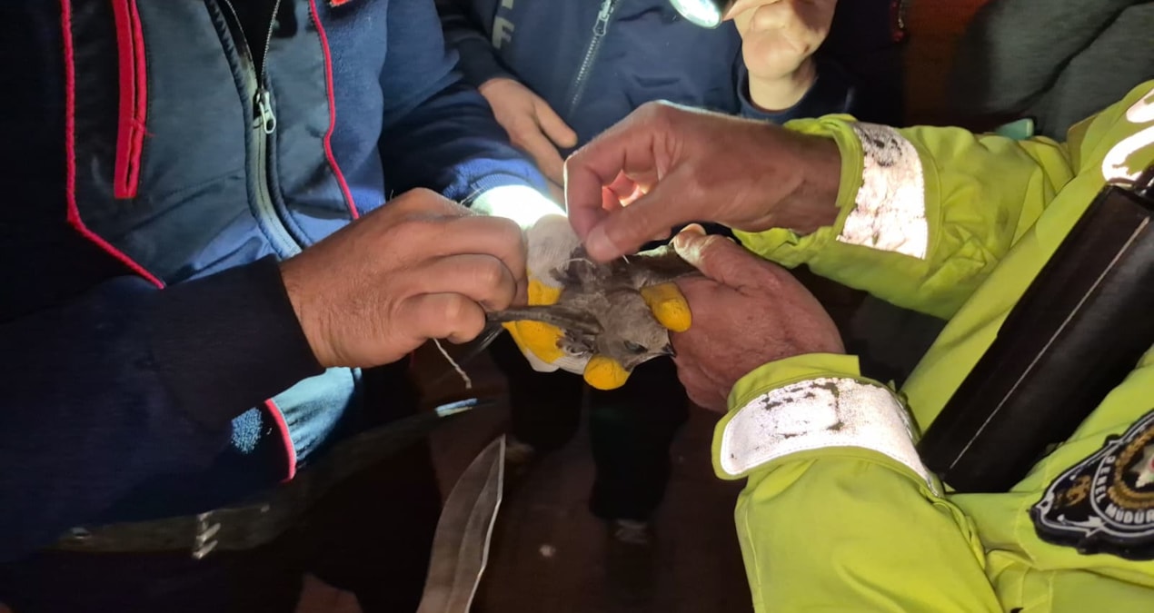 Son Gelişme: Ebabili kurtarmak için cadde trafiğe kapatıldı - Son Dakika: Gelişmeler Takip Ediliyor