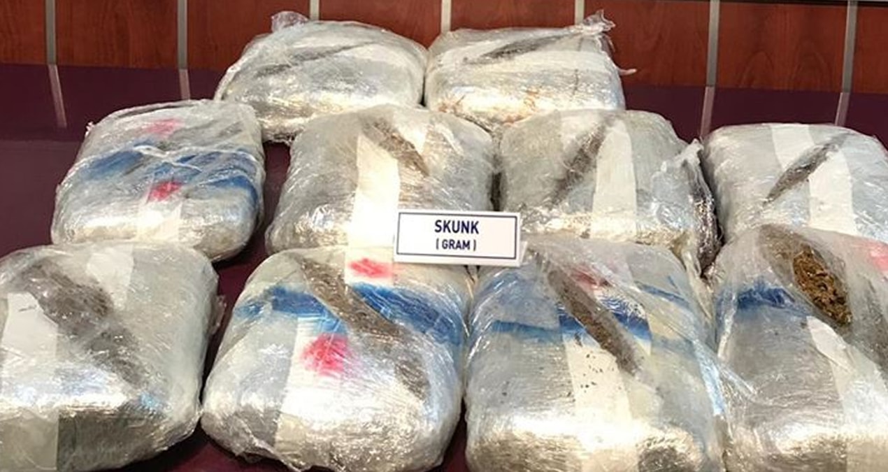 Sıcak Gündem: Edirne’de 240 kilo skunk ele geçirildi - Son Dakika