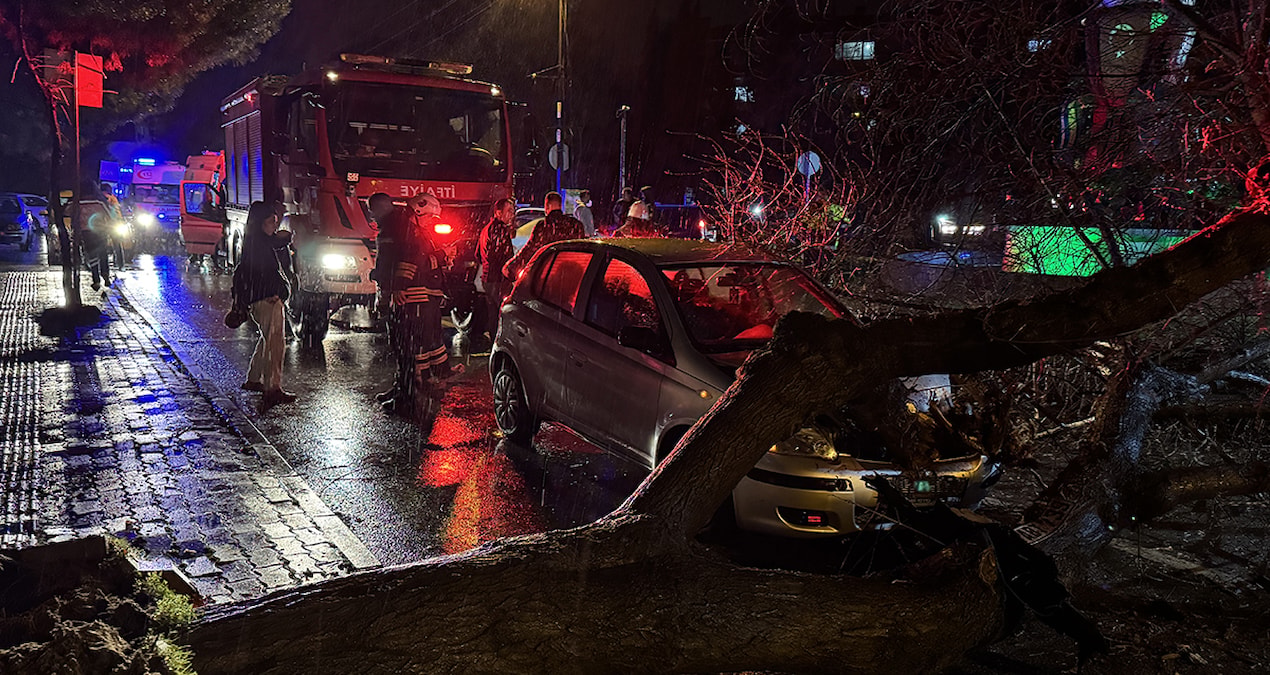 Edirne'de faciaya ramak kala! Seyir halindeki otomobilin üzerine ağaç devrildi - Son Dakika Haberleri | İşte T