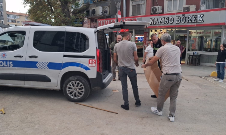 Ekip aracına giren yavru kediyi itfaiye kurtardı ve Merak Edilenler