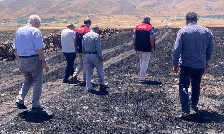 Damage assessment studies on a 70-decare cultivated area turned to ashes in Elazığ - Breaking News