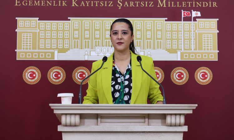 EMEP'li Karaca, Gaziantep'te Eğitim-İş temsilcisine yönelik "uyarı"yı TBMM gündemine taşıdı | İşte Tüm Ayrıntı