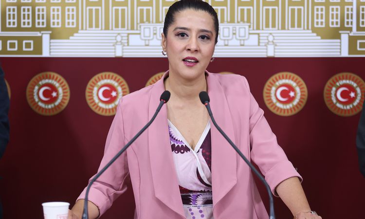 EMEP'li Karaca, işçilerinin direnişini TBMM gündemine taşıdı