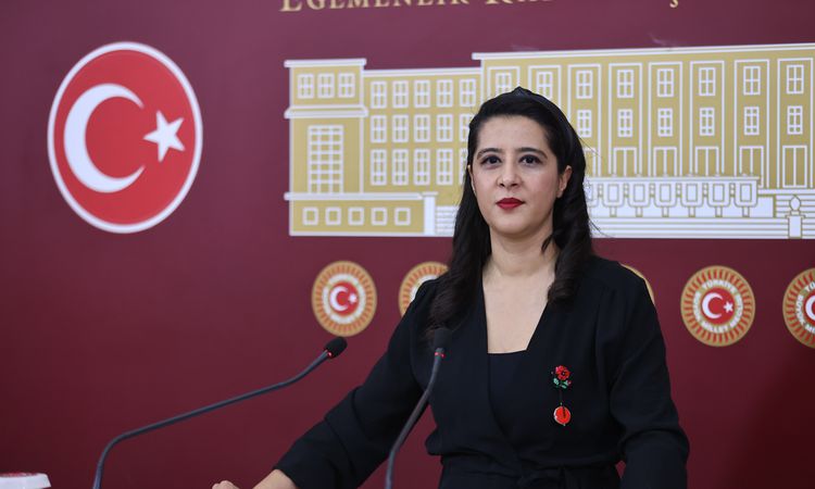 EMEP'li Karaca, Madran Dağı yangınını TBMM gündemine getirdi | İşte Tüm Ayrıntılar