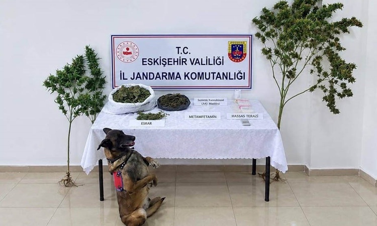 Eskişehir Tepebaşı'nda operasyonda 1,5 kilogram esrarla 1 şüpheli hakkında tutuklama kararı verildi ve Merak E