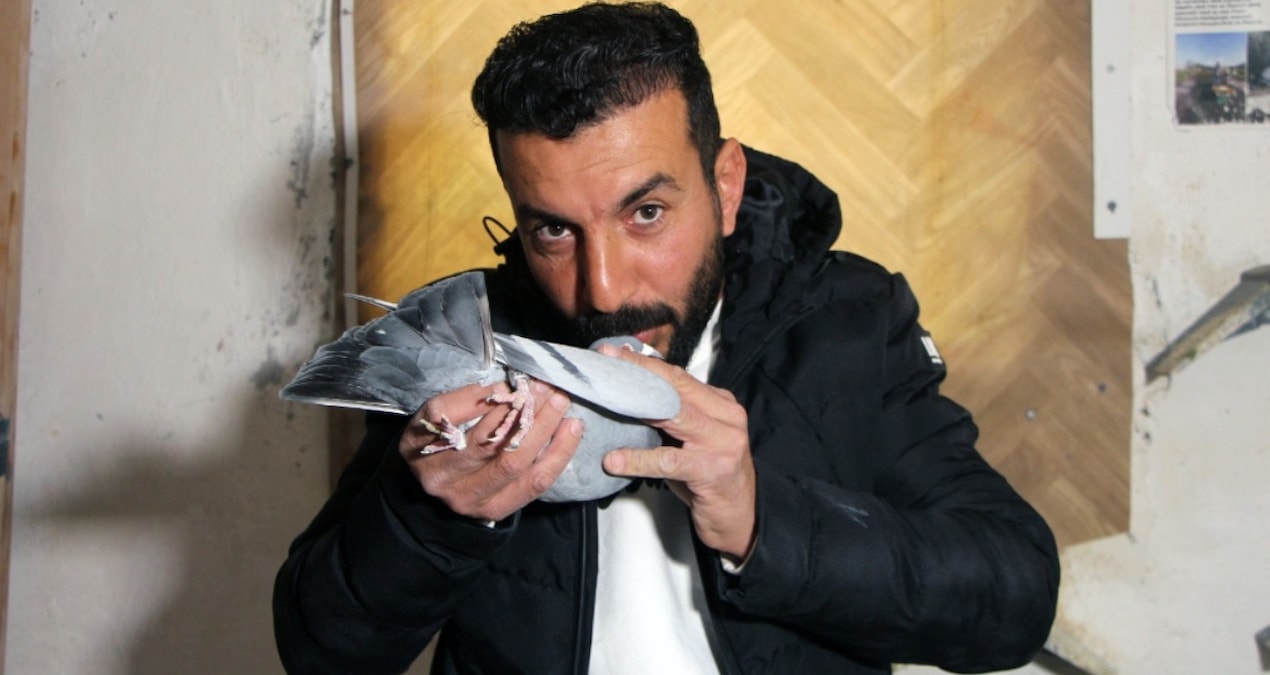 ‘Evladım’ dediği güvercinini bulup getirene 75 bin TL ödül verecek: Getiren kişiyi sorgulamayacağız - Son Daki
