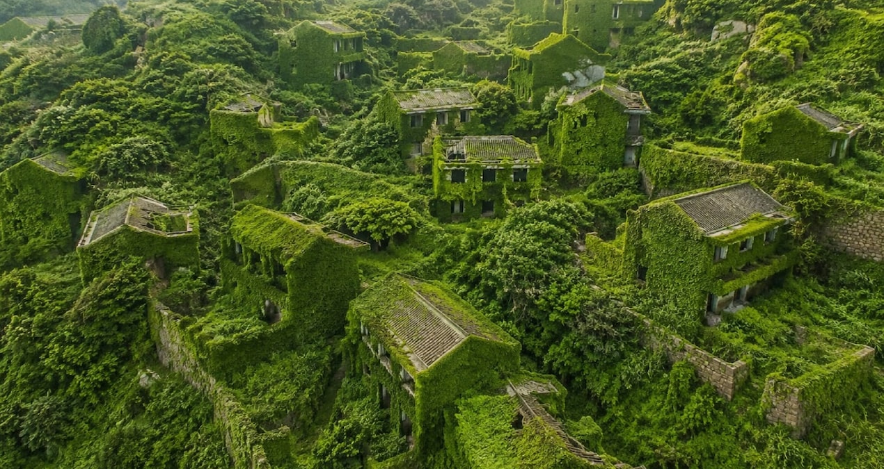 The forest swallowed the houses one by one - Last Minute