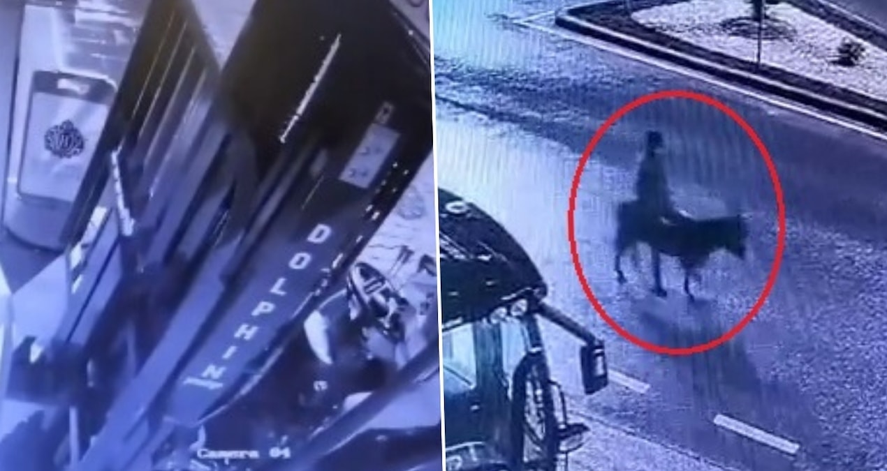 Son Gelişme: Forkliftle girdi, eşekle kaçtı! Kuyumcu soygununda akıllara durgunluk veren plan - Haberleri