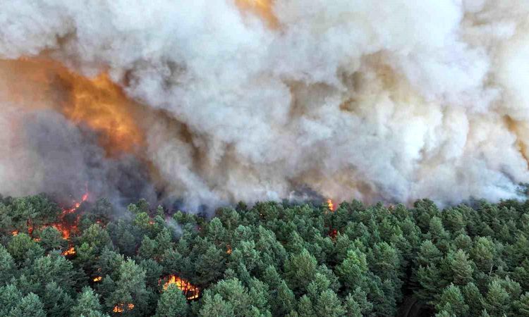 France Forest Fires Rage On: 300 Hectares Burned, At Least 2 Arrest Warrants Issued
