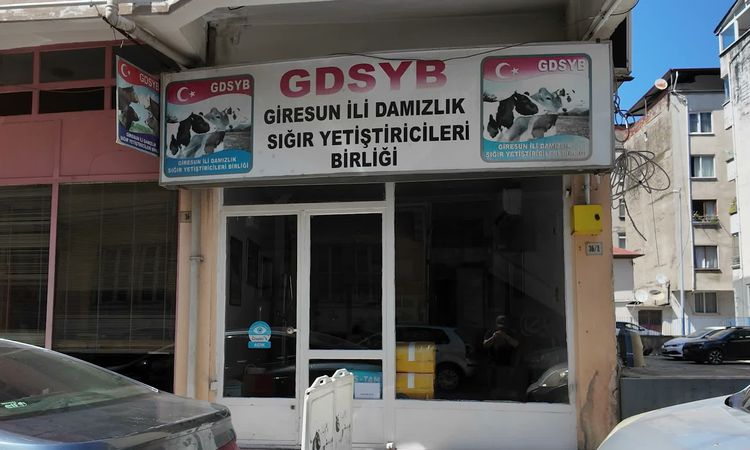 Sıcak Gündem: Giresun Süt Üreticileri Birliği'nde skandal: Eski yöneticilere suç duyurusu, son kullanma tarihi