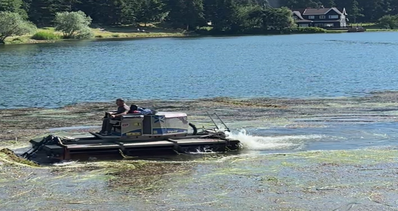 The lake is being cleaned in Gölcük Nature Park - Breaking News