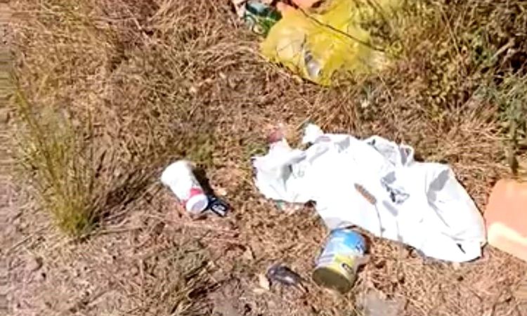Garbage thrown on the edges of ponds attracts harsh reactions - Last Minute