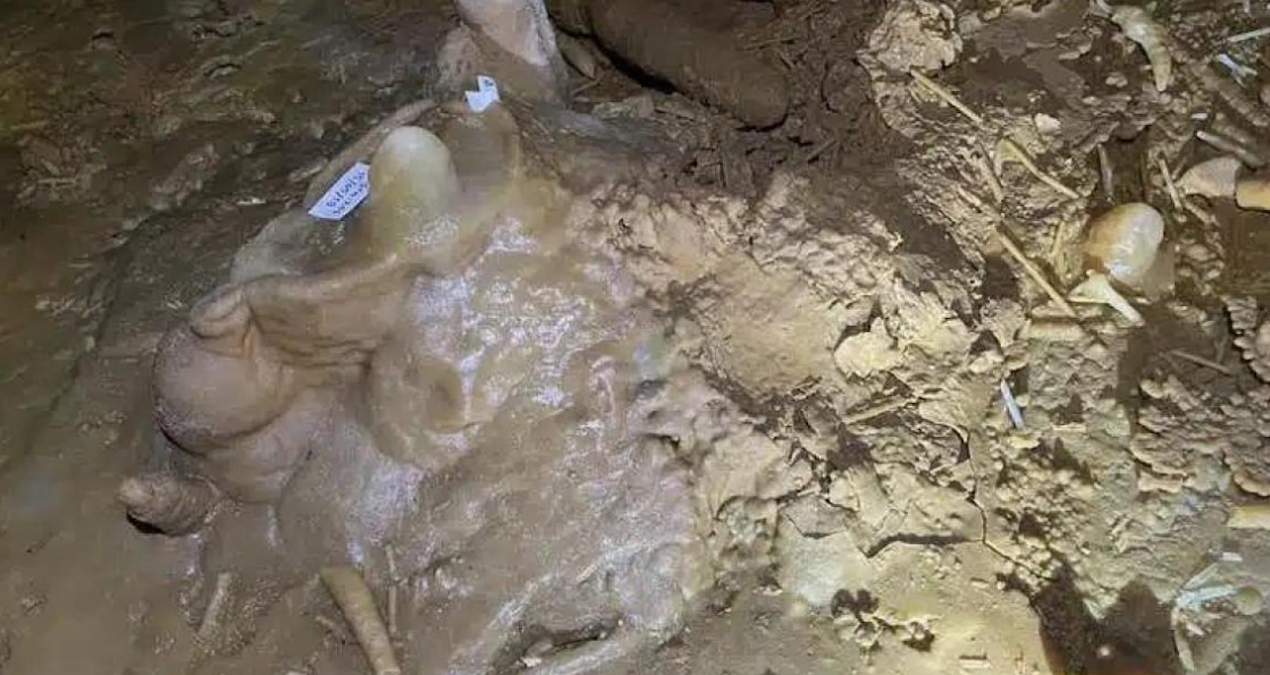Ayrıntılar Netleşti: Gördükleri şey karşısında dona kaldılar: Dünyayı ayağa kaldırdı - Son Dakika