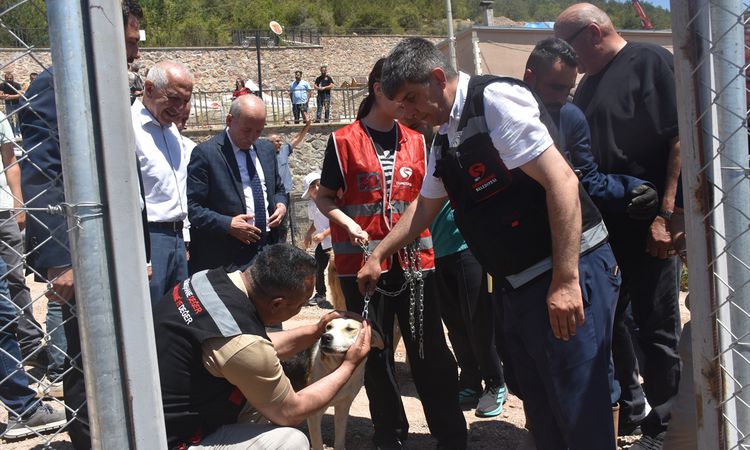 Sıcak Gündem: Gümüşhane'de sahipsiz hayvanlar için doğal yaşam alanı açıldı - Son Dakika Haberleri - Son Dakik