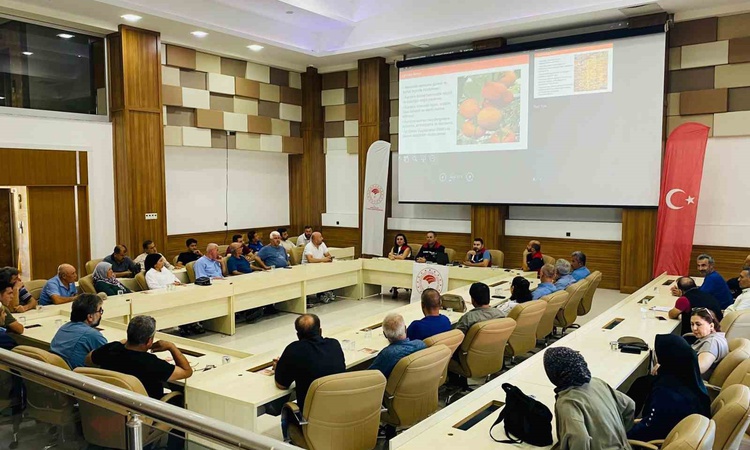Gündemden Son Bilgiler: Adana Kozan'da cennet hurması sektörüne hijyen ve gıda güvenilirliği eğitimi verildi |