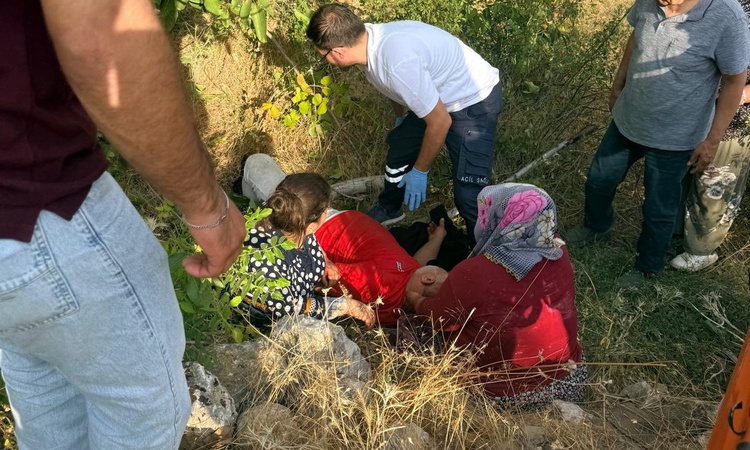 Gündemden Son Bilgiler: Adıyaman Gölbaşı'nda ceviz toplamak için ağaca çıkan kişi düşerek yaralandı ve Merak E