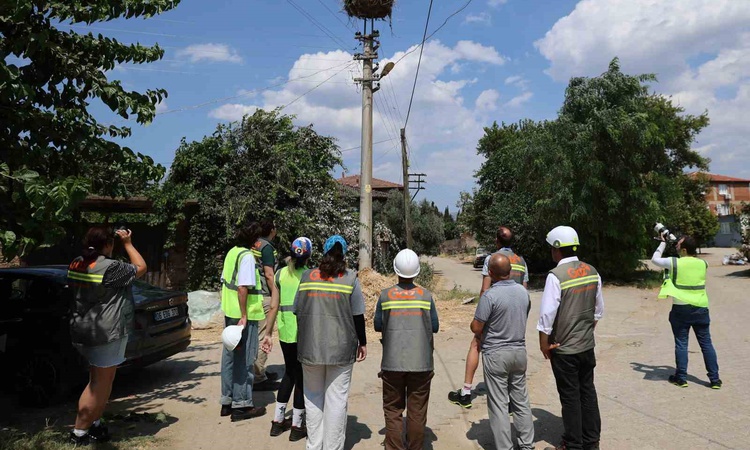 Gündemden Son Bilgiler: ADM ve GDZ Elektrik, kuş koruma projesini 5 ilde genişletiyor - Son Dakika Bilgileri
