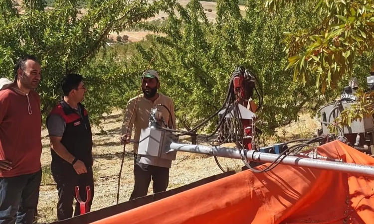 Gündemden Son Bilgiler: Ağın'da Tarım ve Orman ekipleri badem üreticilerini hasat konusunda ayrıntıları bildir