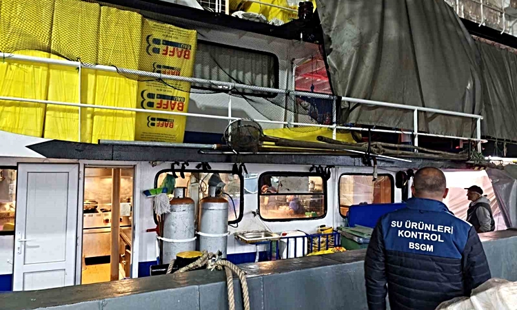 Gündemden Son Bilgiler: Akçakoca'da Su Ürünleri Kontrol Ekipleri palamut avı denetimlerini sürdürüyor: Gelişme