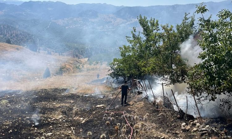 Gündemden Son Bilgiler: Alanya'da zirai yangın kontrol altına alındı ve Merak Edilenler