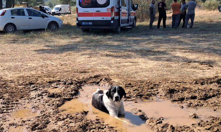 Gündemden Son Bilgiler: Antalya Serik'teki orman yangını kısmen kontrol altında | İşte Tüm Ayrıntılar
