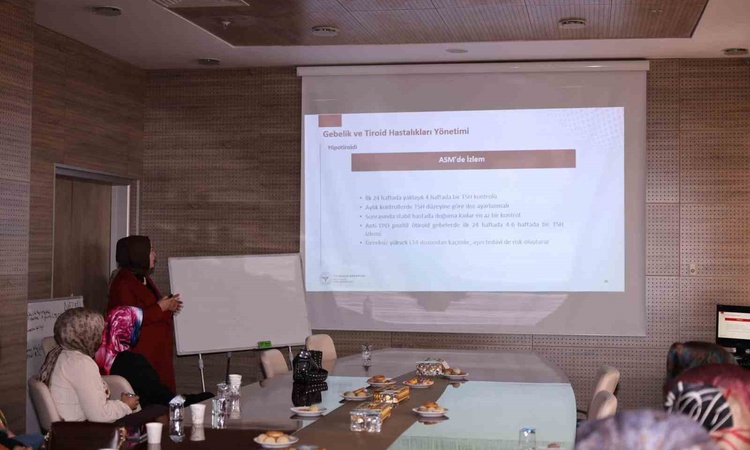 Gündemden Son Bilgiler: Bayburt'ta aile sağlığı çalışanlarına gebelik ve tiroit hastalıkları eğitimi verildi