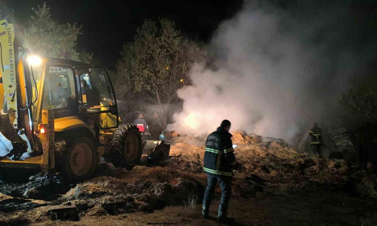 Gündemden Son Bilgiler: Besihanede yangın felaketi: 6 büyükbaş hayvan telef oldu