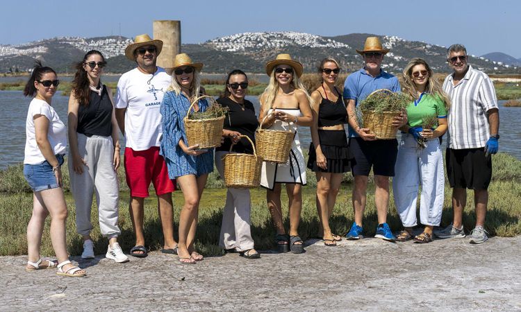 Gündemden Son Bilgiler: Bodrum’da deniz börülcesi hasadı sofraya taşındı ve Merak Edilenler