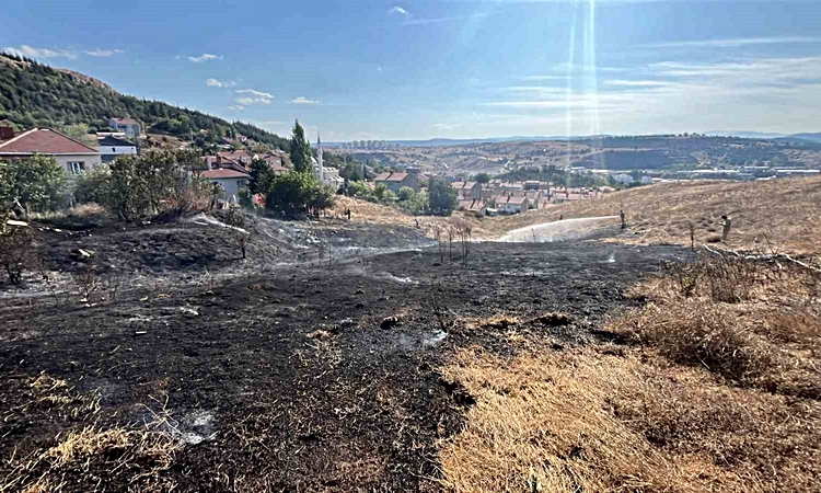 Gündemden Son Bilgiler: Bozüyük’te otluk yangını | İşte Tüm Ayrıntılar