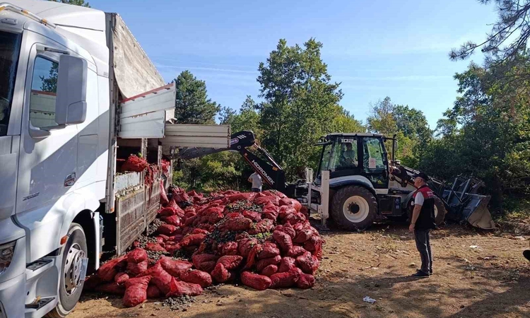 Gündemden Son Bilgiler: Bursa’da 8 ton midye ele geçirildi | İşte Tüm Ayrıntılar